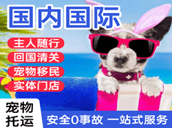 成都航空运输国际宠物托运 【国